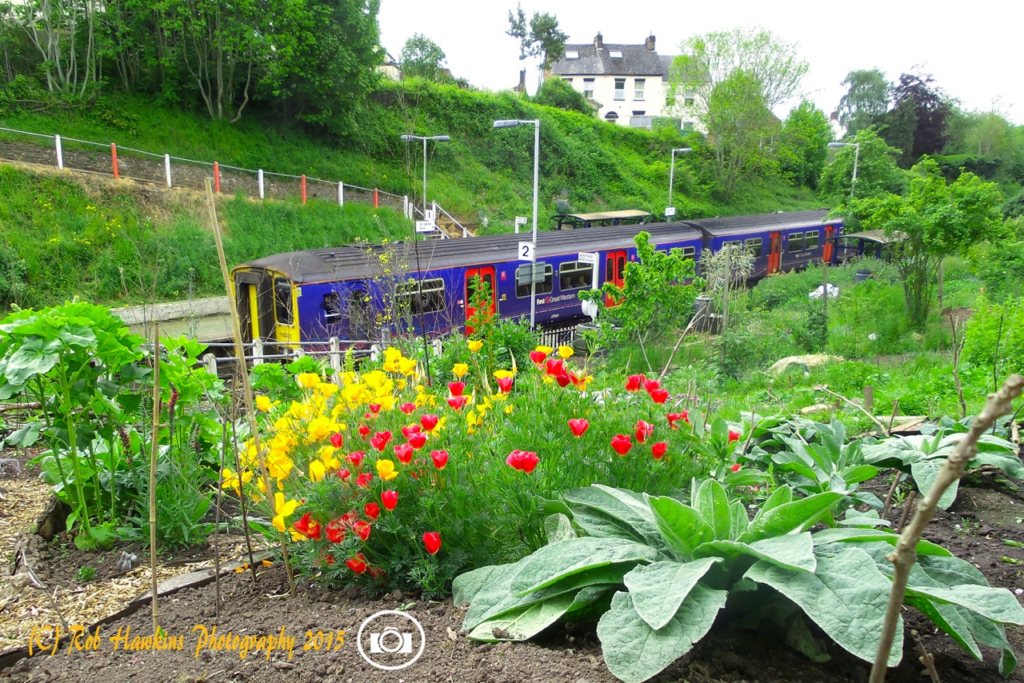st James vegetable Garden