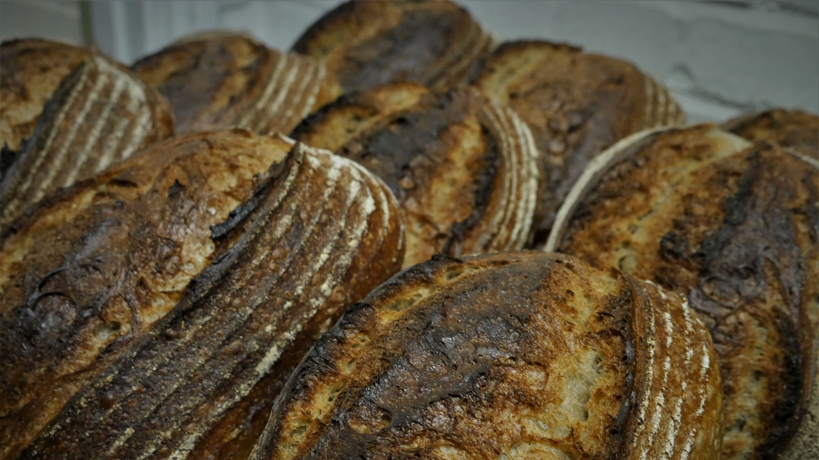 Sourdough Bakery Experience 2 day March St Sidwell's Community Centre