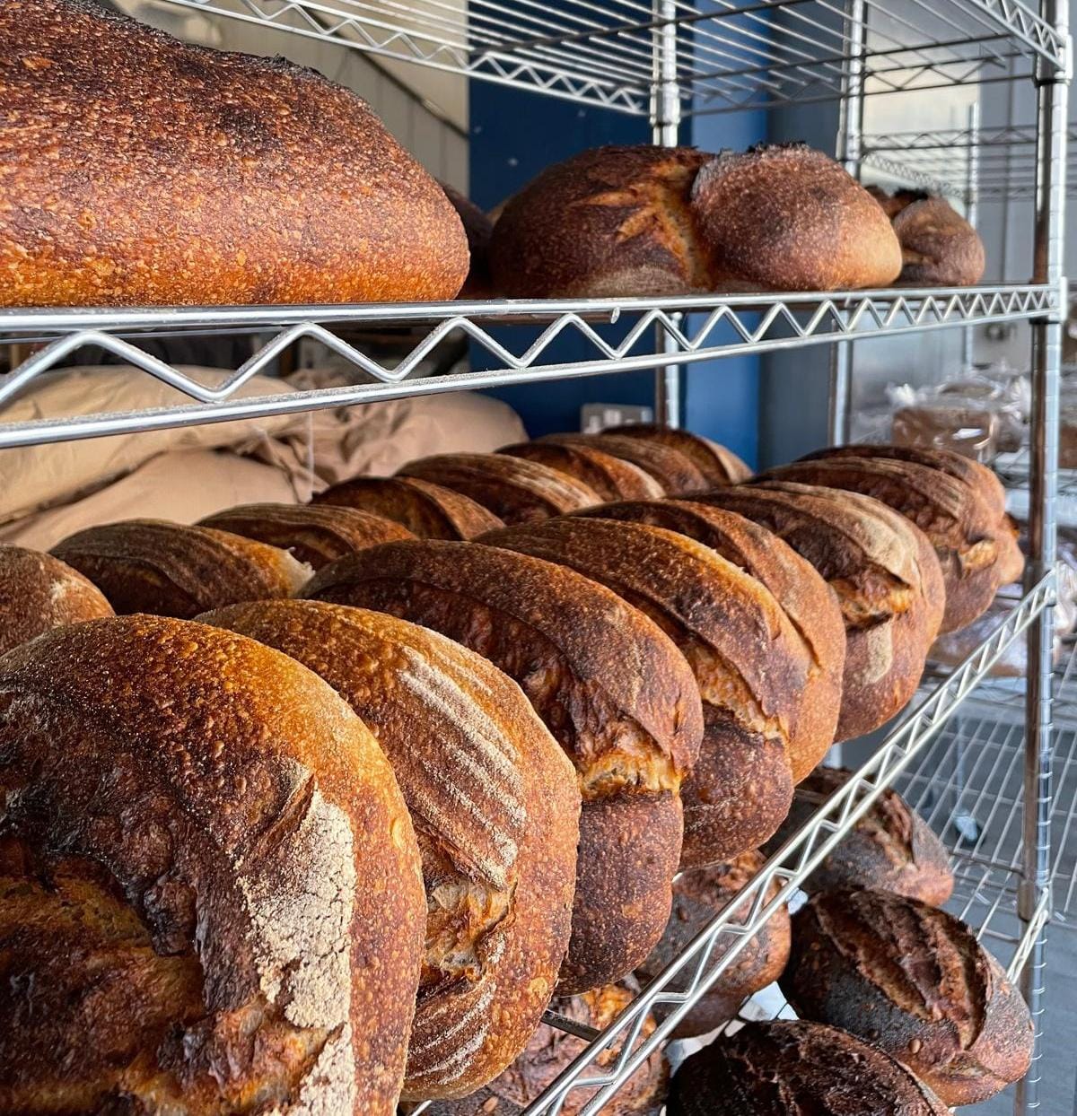 Archives: <span>The Sidwell Street Bakehouse</span>